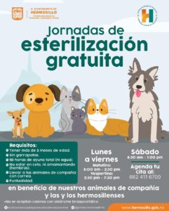 Continúa Ayuntamiento de Hermosillo con esterilizaciones gratuitas de perros y gatos