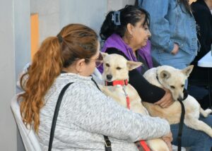 Invita Ayuntamiento de Hermosillo a aprovechar las jornadas de esterilización y desparasitación a perros y gatos3