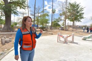 Remodelación Jardin Juarez (3)