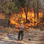 Avanza Gobierno de Sonora en el combate al incendio forestal en Nácori Chico