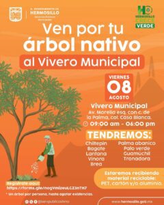 Tendrá Ayuntamiento de Hermosillo jornada de entrega de árboles nativos este viernes1
