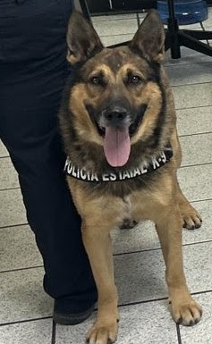 unnamed - 2025-08-05T175405.963