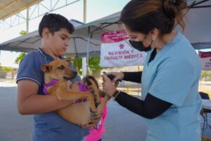 unnamed - 2025-08-15T233955.390