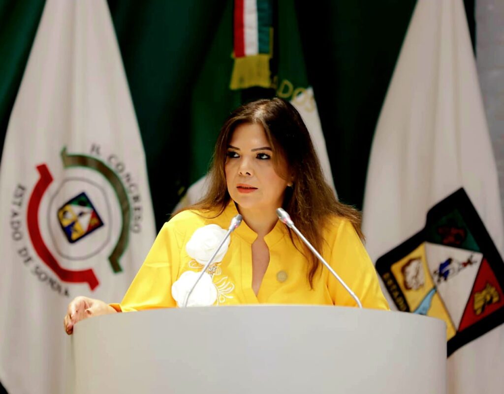 diputada-gabriela-tapia-fonllem