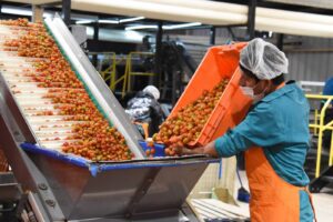 FB_IMG_1768364135698