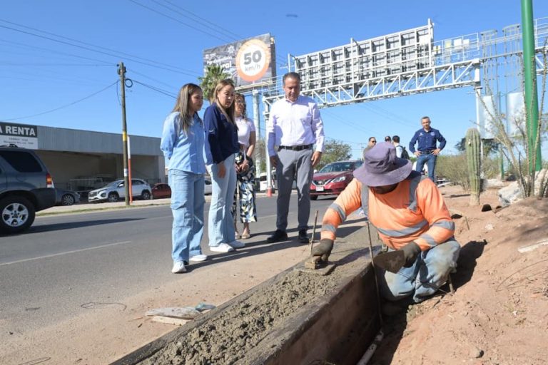 tono-supervisa-768x512